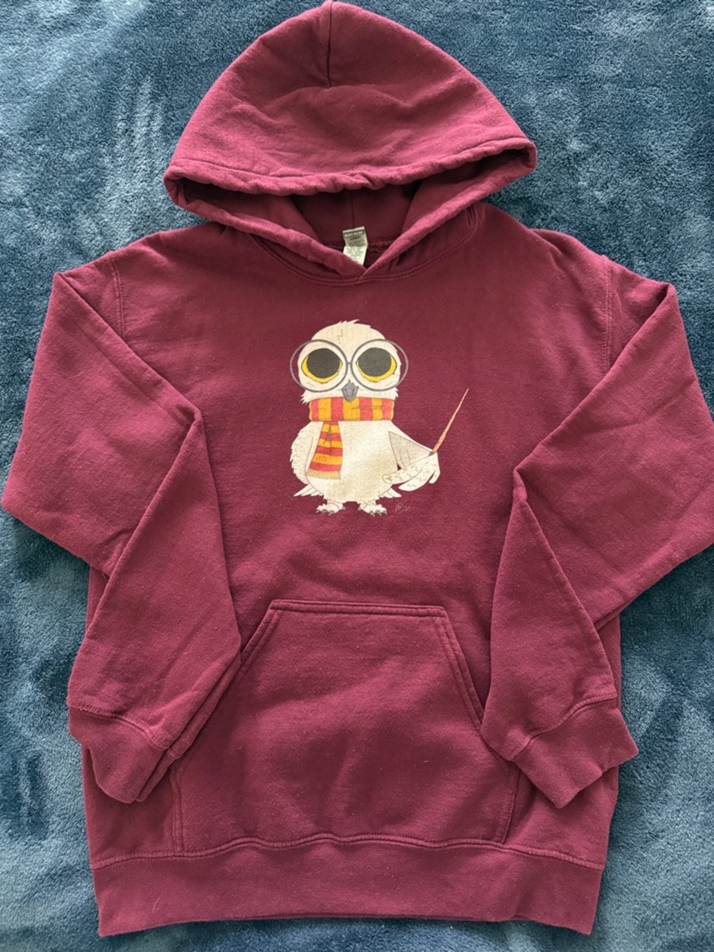 Harry Potter Hoodie with Hedwig Graphic